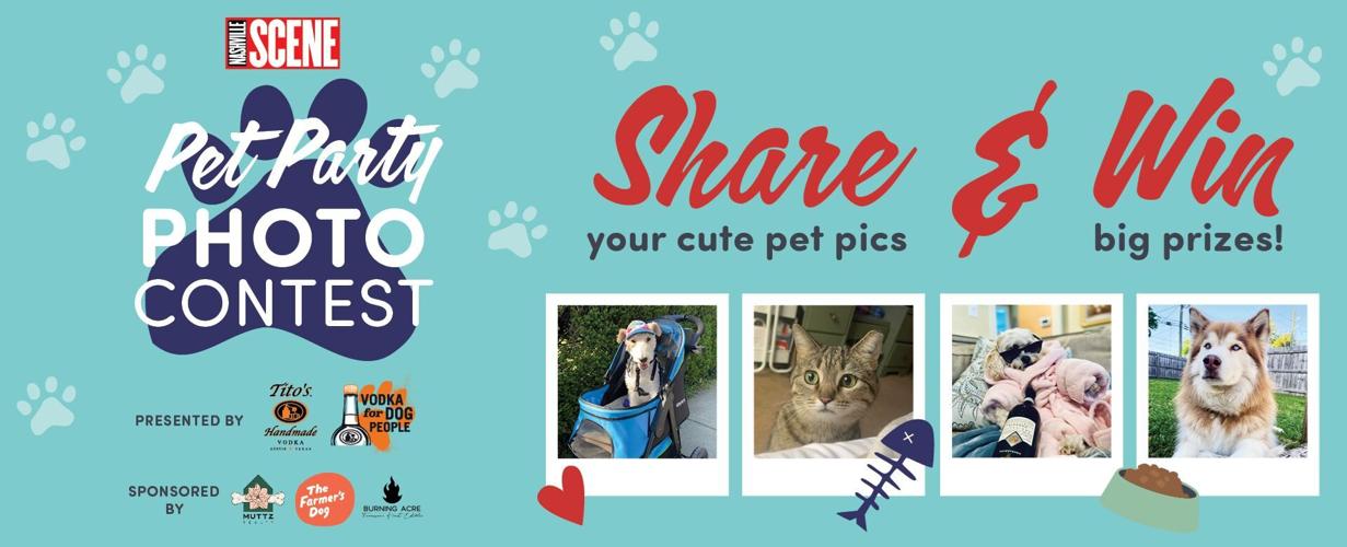 Pet contest