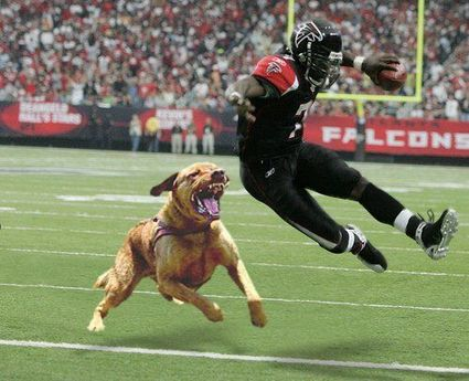 To forgive Mike Vick would be divine