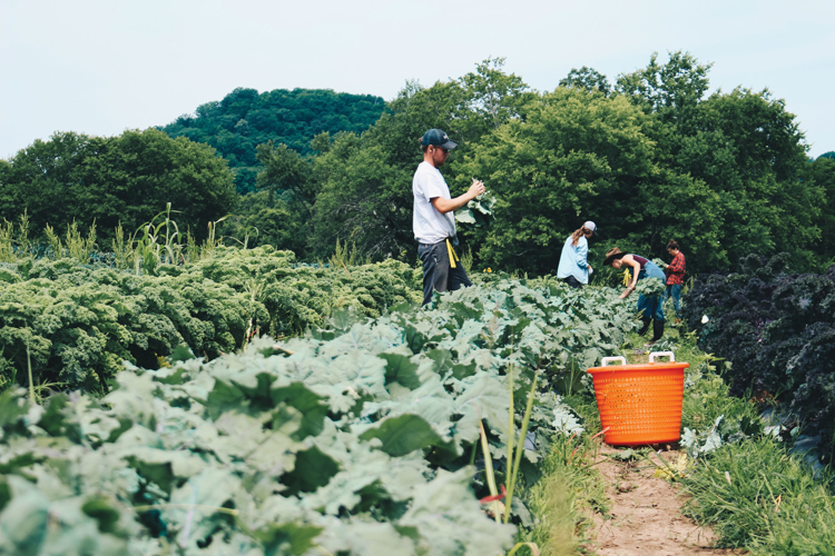 Hey Thanks, Local Farmers