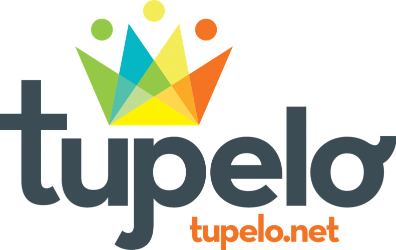 FullCrown_GrayTupelo_OrangeWebsite_clearbkgrd.png