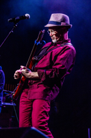 Marshall Crenshaw: The Cream Interview