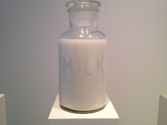 Installation View: Mathilde Roussel's <i>Anatomia Botanica</i> at Cheekwood