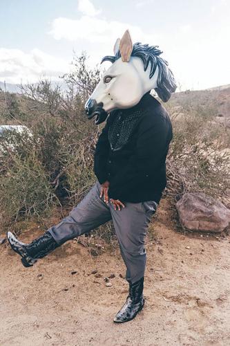 ELEKTRO-HORSE-PIC-1-PHOTO-BY-WALTER-W-BRADY.jpg