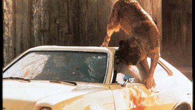 Midnight Movies: <i>Cujo</i> & <i>Cats</i>