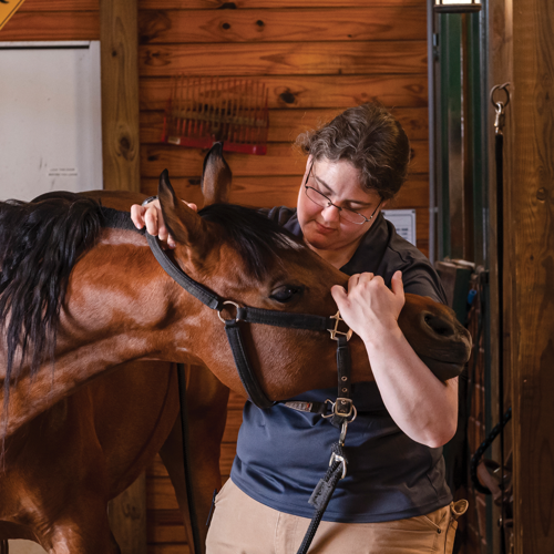 The Pet Issue 2021: Horsin’ Around