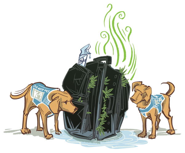 The Boner Awards 2018