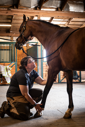 The Pet Issue 2021: Horsin’ Around