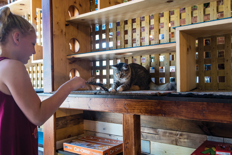 The Pet Issue 2018: A Cause for Paws