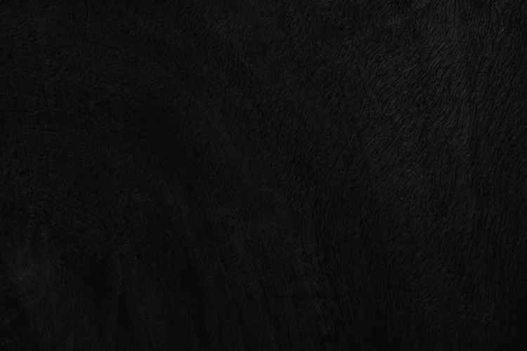 Today’s Takeout Pick: None