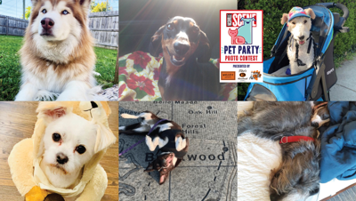 The Pet Issue 2021: Pet Su-purr-latives