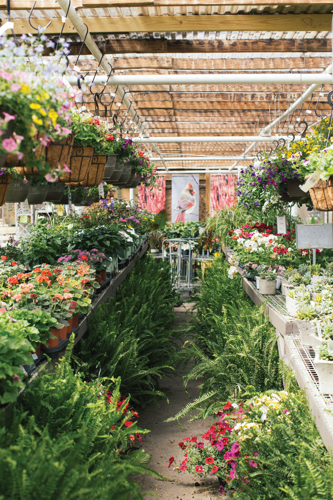 Best Nursery/Garden Center