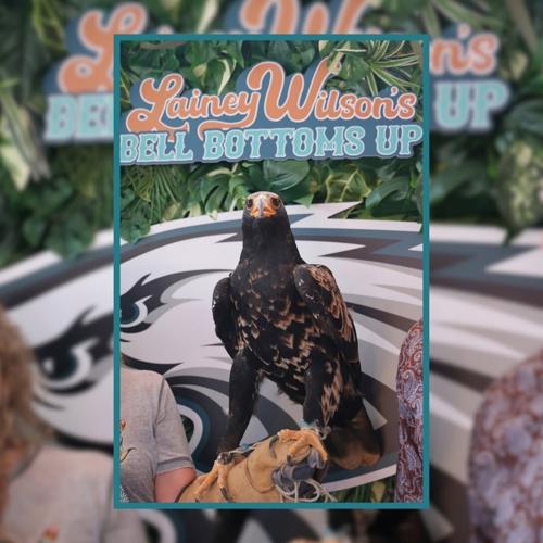 Lainey Eagle