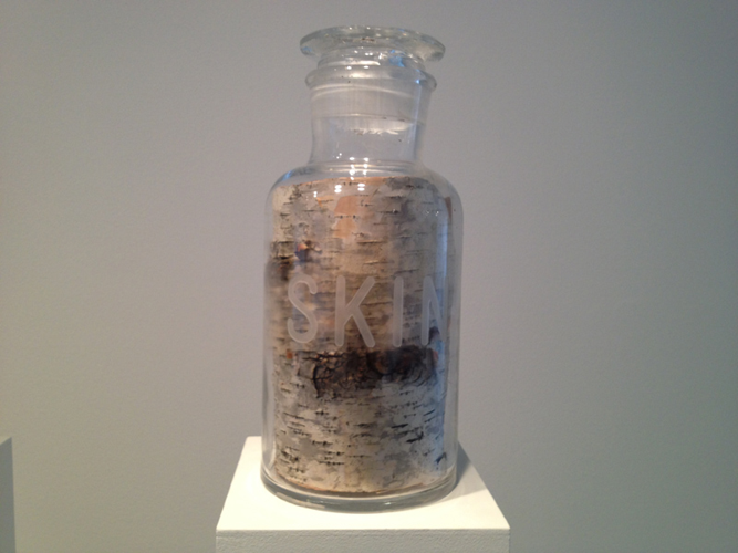 Installation View: Mathilde Roussel's <i>Anatomia Botanica</i> at Cheekwood