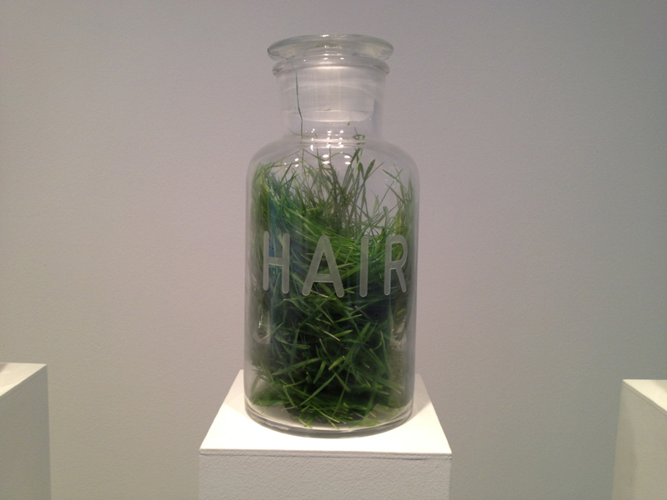 Installation View: Mathilde Roussel's <i>Anatomia Botanica</i> at Cheekwood