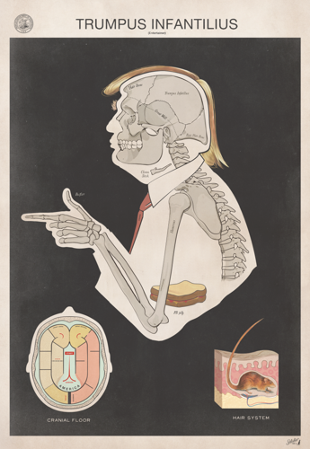 Anatomy of Trump: Sideshow Sign Co.