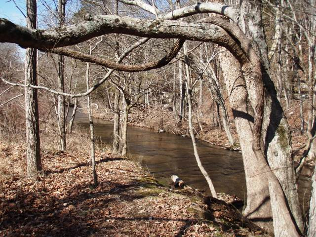 Beaman Park: A Review