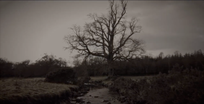 Ted Drozdowski’s Coyote Motel Follows ‘The River’