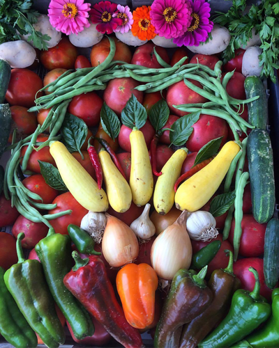 Here Are Some Area Suppliers for Your Seasonal CSAs