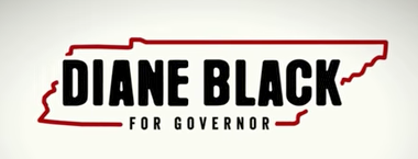 Let's Rank the Gubernatorial Campaign Logos (So Far)