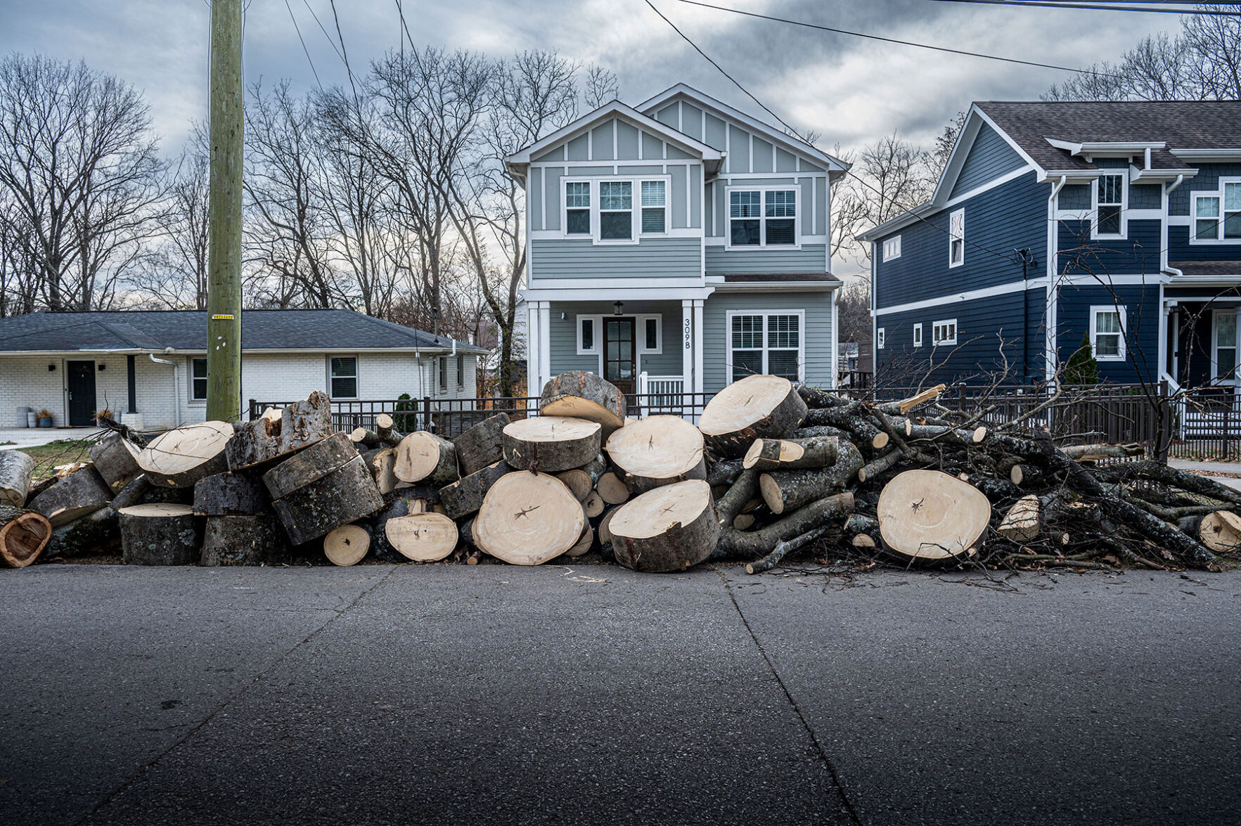 Sawed remnants of tree trunks and loose branches piled up in front of a row of houses