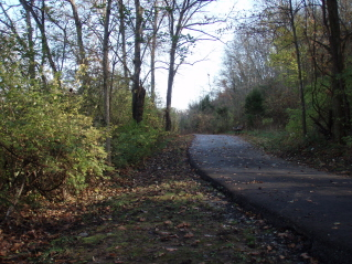 The Whites Creek Greenway: A Review