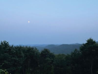 IMG_3594.jpg