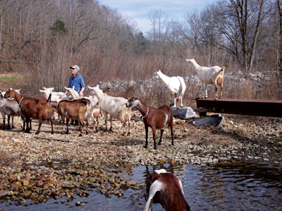 When it comes to family travel, Bonnie Blue's agritourism is anything but cheesy