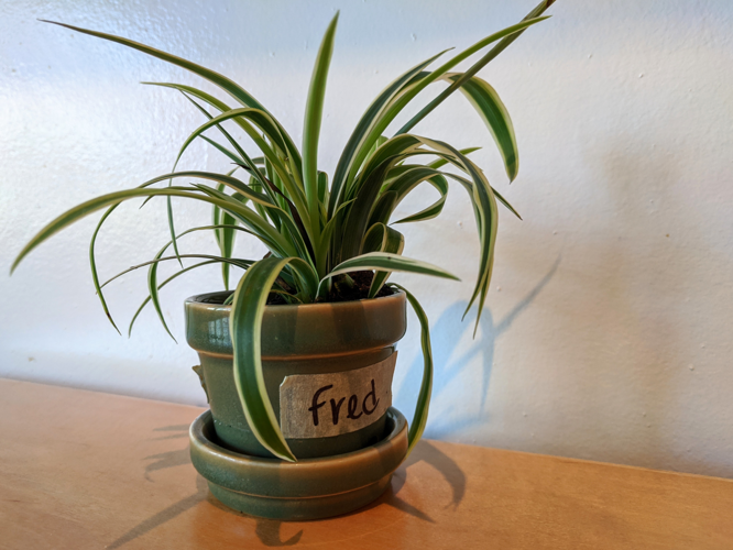 Today's Takeout Pick: The Loading Dock