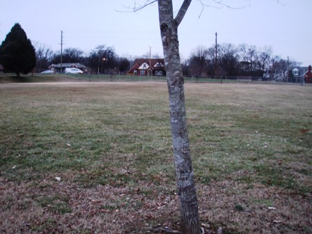 Isaac Litton Park: A Review