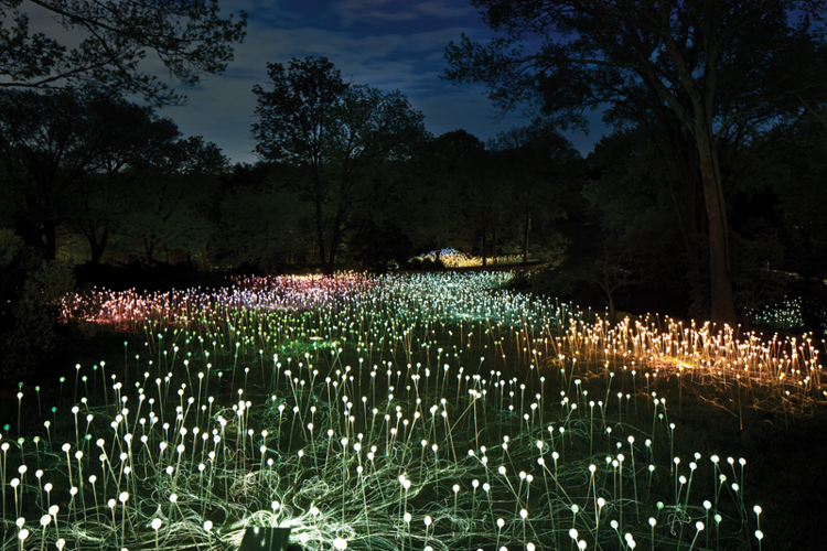 If you thought <i>Avatar</i> was a good movie, you'll probably love <i>Light</i>
