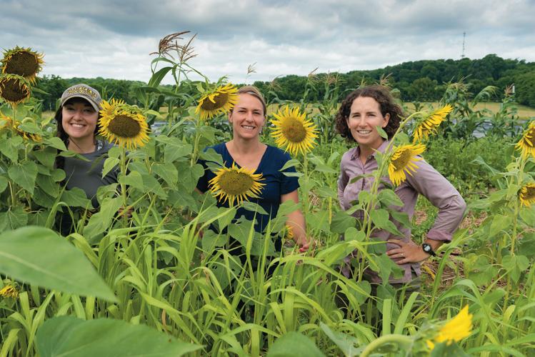 Community gardens-7862.jpg