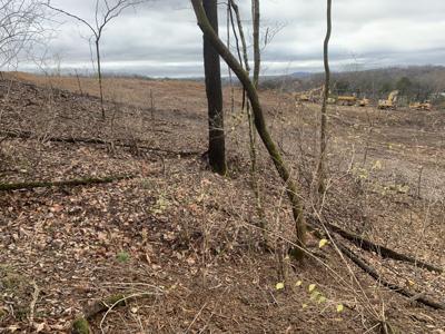 A development site off Tulip Grove Road in Hermitage