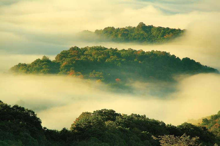 A new documentary blows the top off a hazardous coal-mining practice