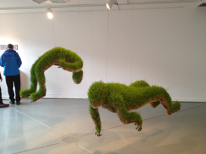 Installation View: Mathilde Roussel's <i>Anatomia Botanica</i> at Cheekwood