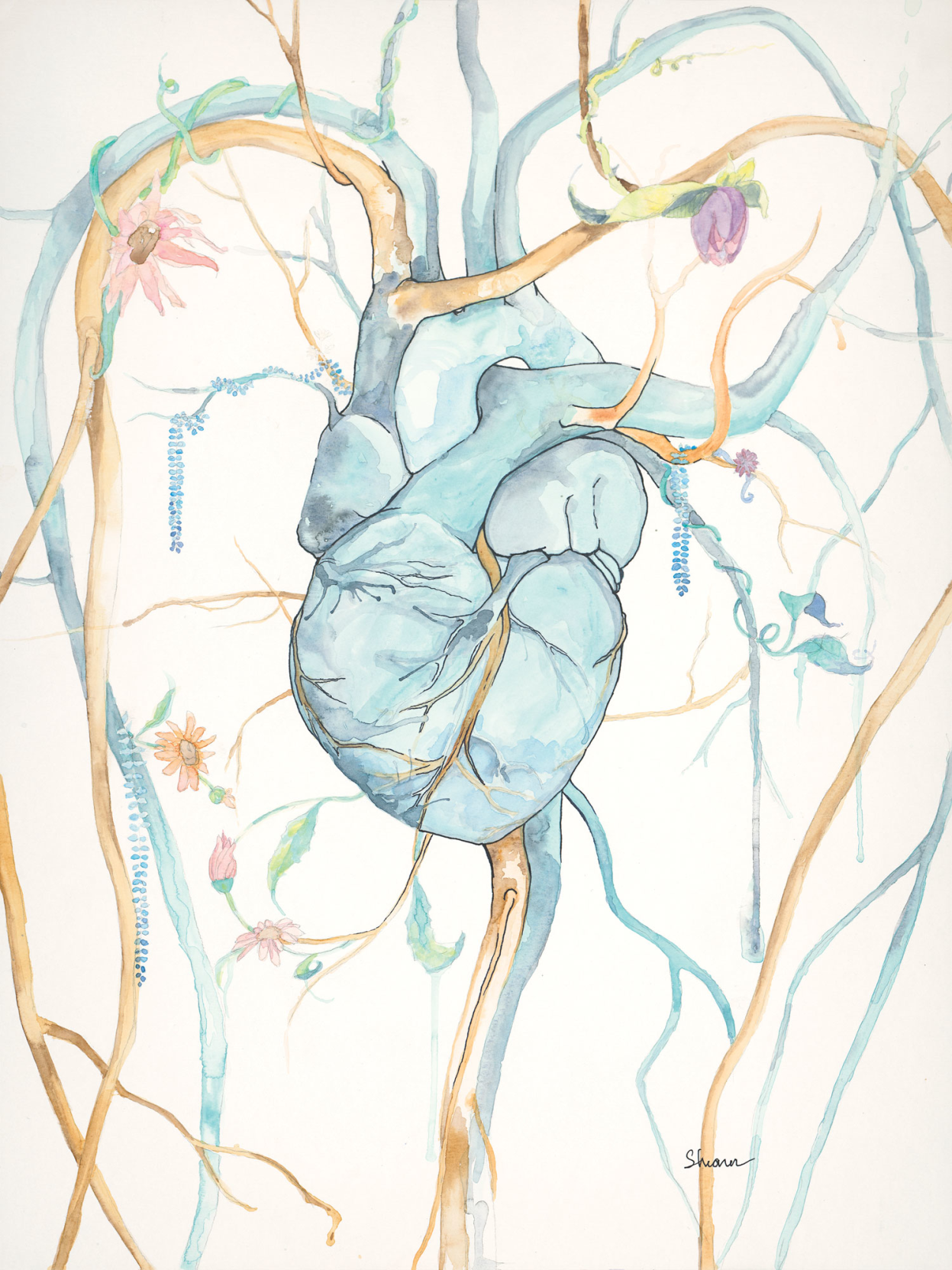 Crawl Space: April 2018