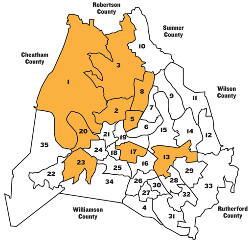 Political veterans and upstart challengers compete across the city in September's Metro Council runoffs