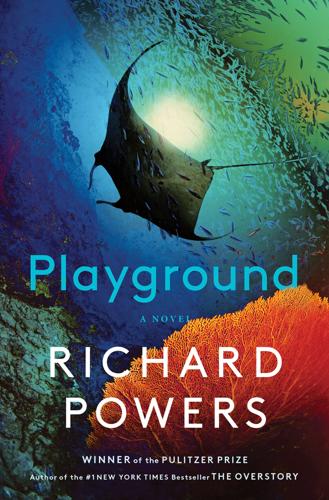 booksPLAYGROUND-cover-9781324086031.jpg