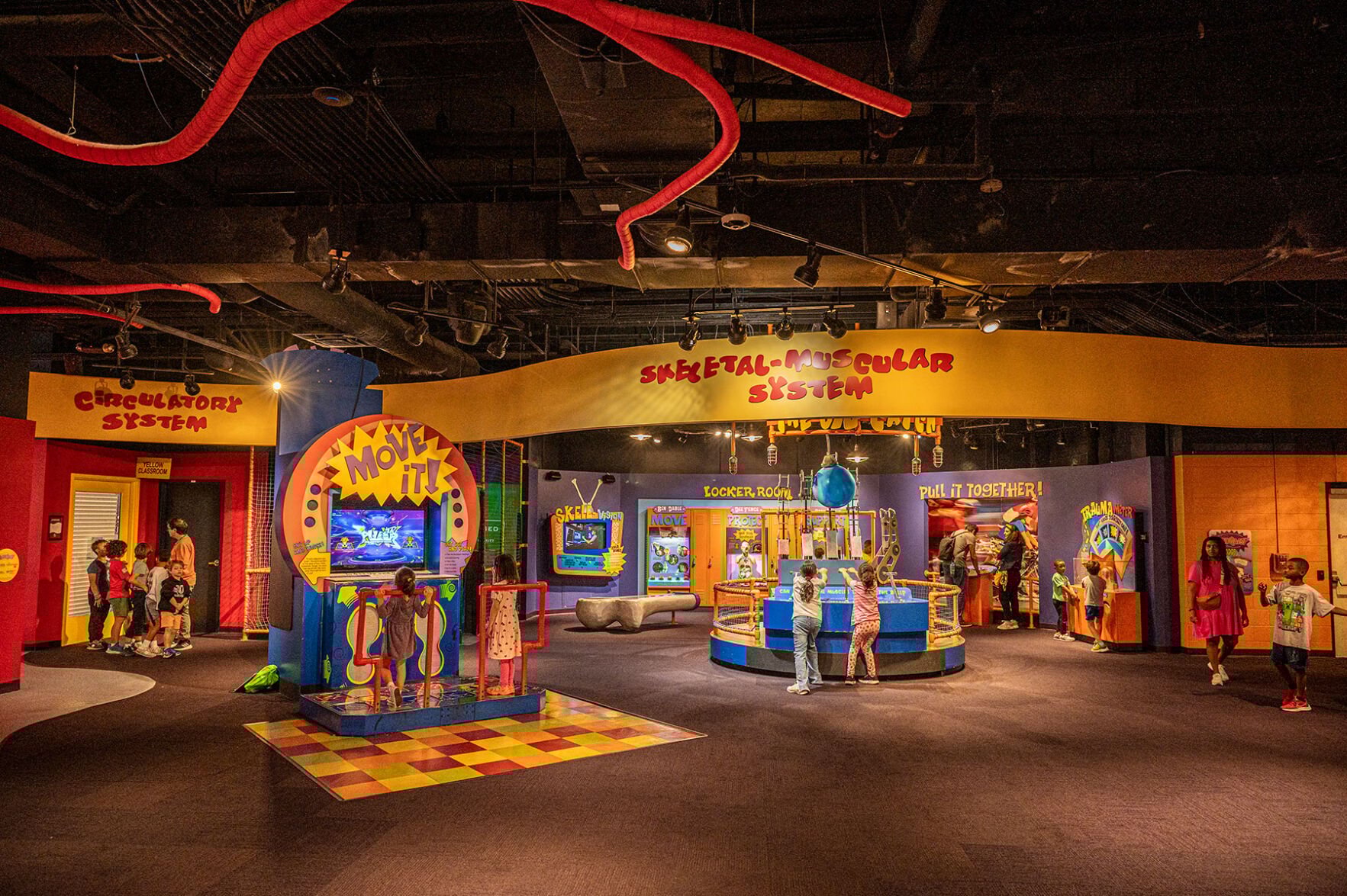 Museums exhibits for kids with signs reading "circulatory system" and "skeletal-muscular system"