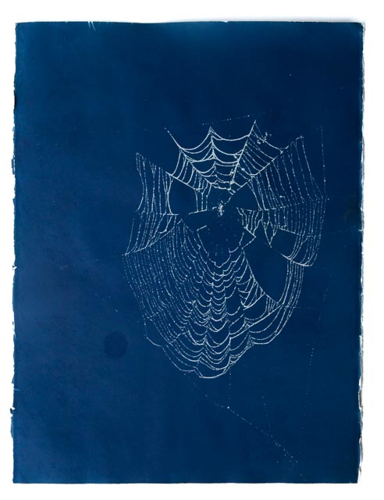 Critic/Ally: Caroline Allison