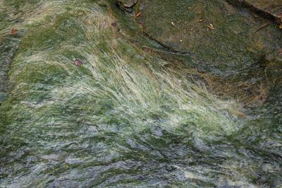 Creek story-5799.jpg