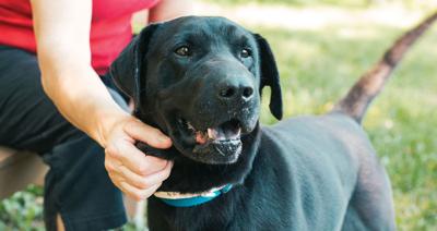 NashHumane_0012.jpg
