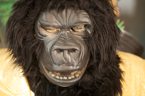 What You Missed: The Rock-afire Explosion's Reunion Tour