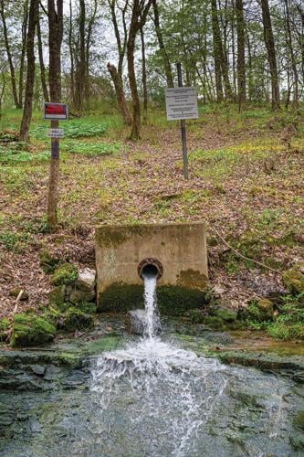 Creek story-5818.jpg