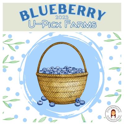 Blueberry Season - 8