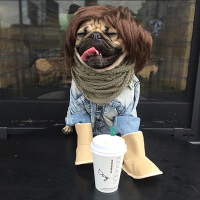 Best Instagram Account