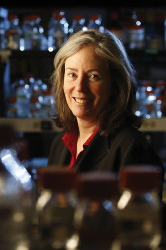 Remembering some of the lives, legends and community leaders we lost in 2013