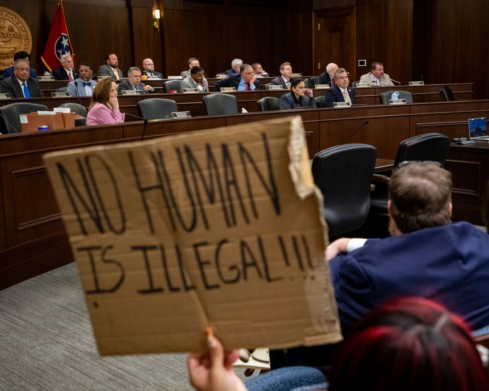 Protesters attend a House State and Local Government Committee as immigration bills are debated, March 31, 2026