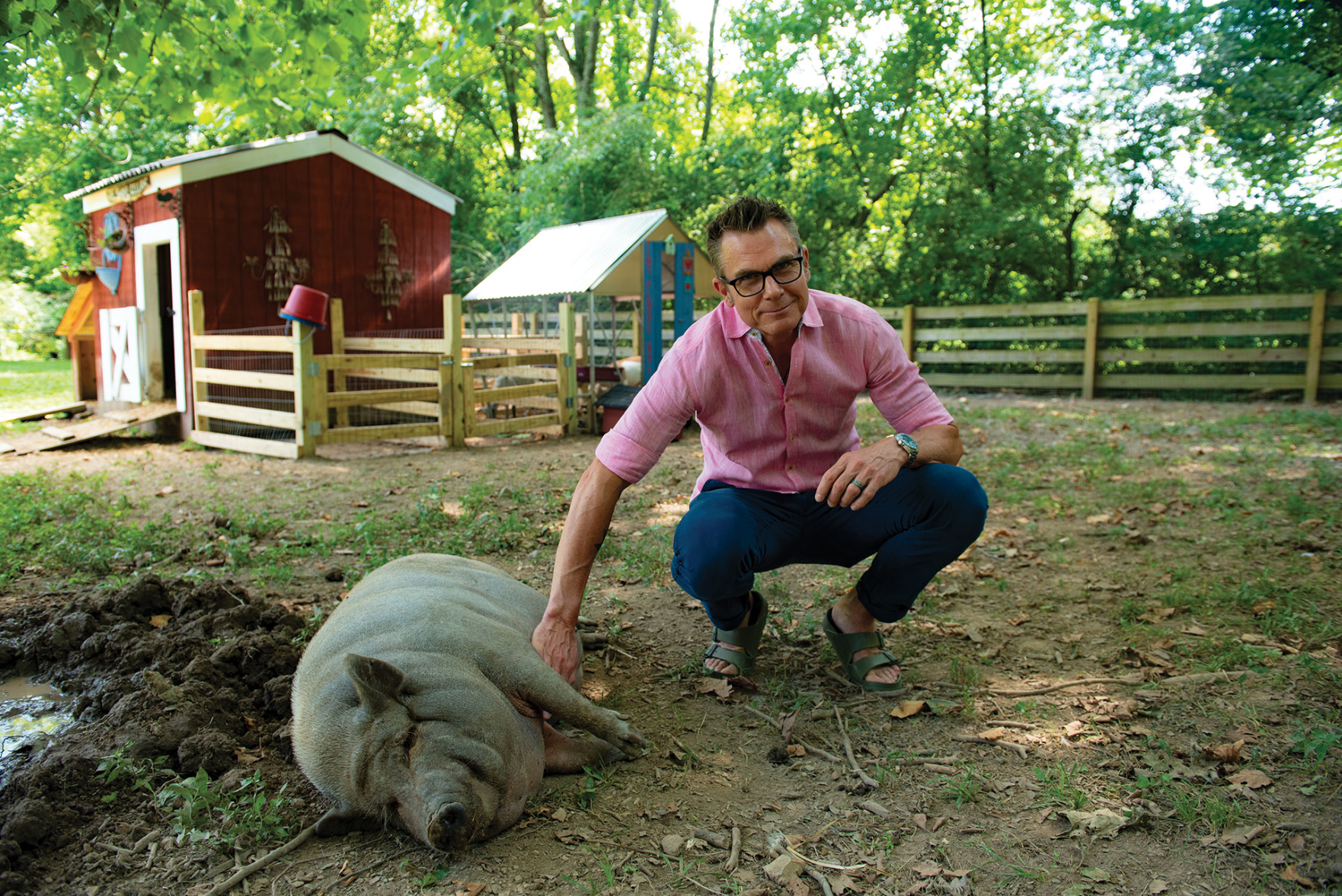 Piccolo Farms Is Home to Pigs, Chickens, a 40-Year-Old Tortoise and More