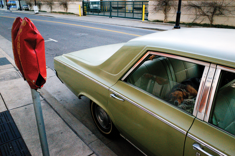 Photography Issue 2014