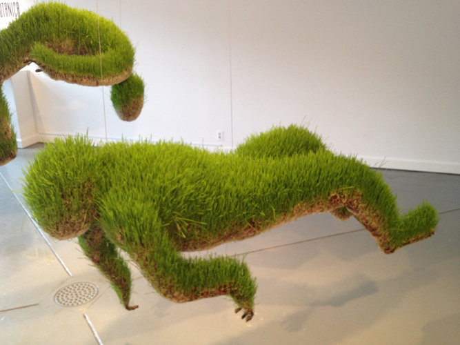 Installation View: Mathilde Roussel's <i>Anatomia Botanica</i> at Cheekwood